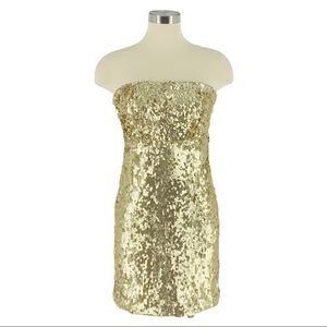 NWOT EXPRESS Soft Gold Sequin Tube Dress